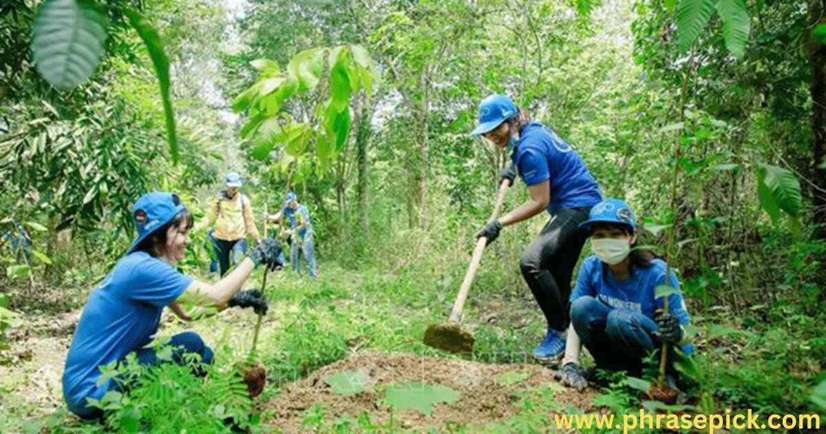 Planting a Forest