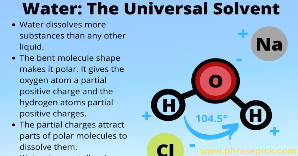 The Sea as a Universal Solvent