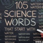 105 Science Words That Start With W